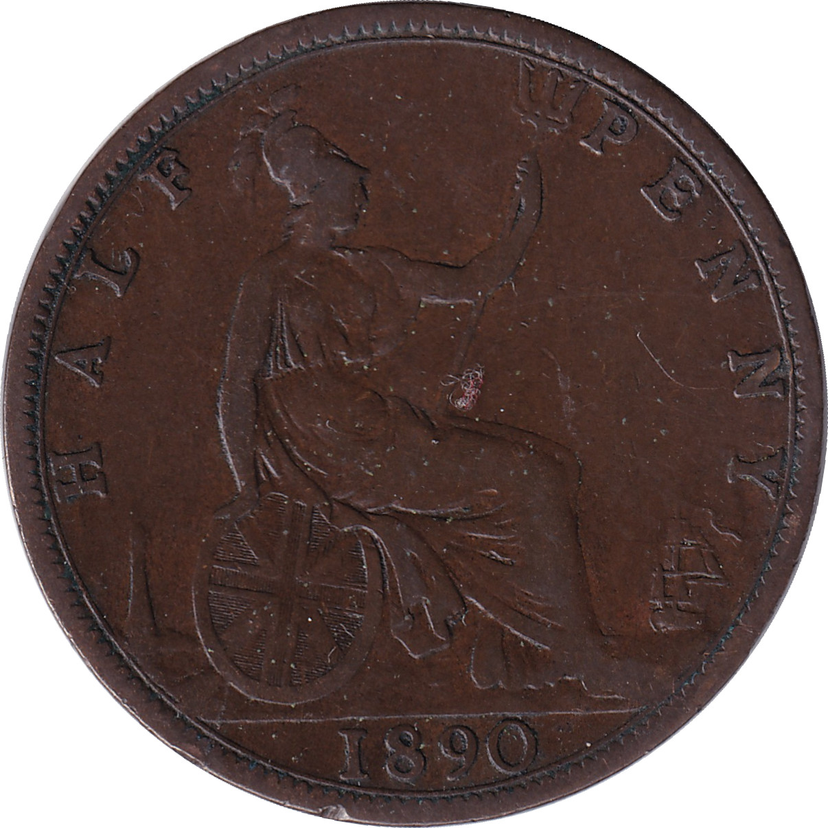 1/2 penny - Victoria - Mature bust