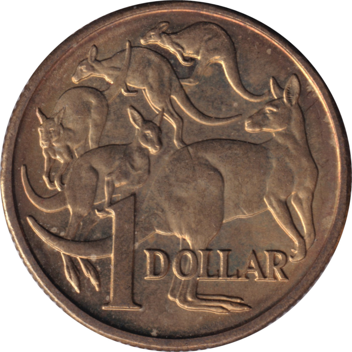 1 dollar - Elizabeth II - Mature bust